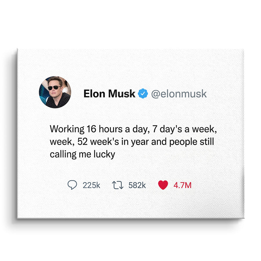 Twite – Elon Musk – Vorderseite