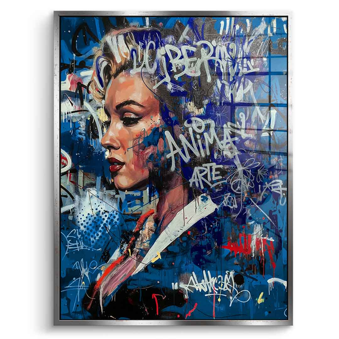 DOTCOMCANVAS Merlin Graffiti Acrylglasbild Frontansicht Silber Rahmen