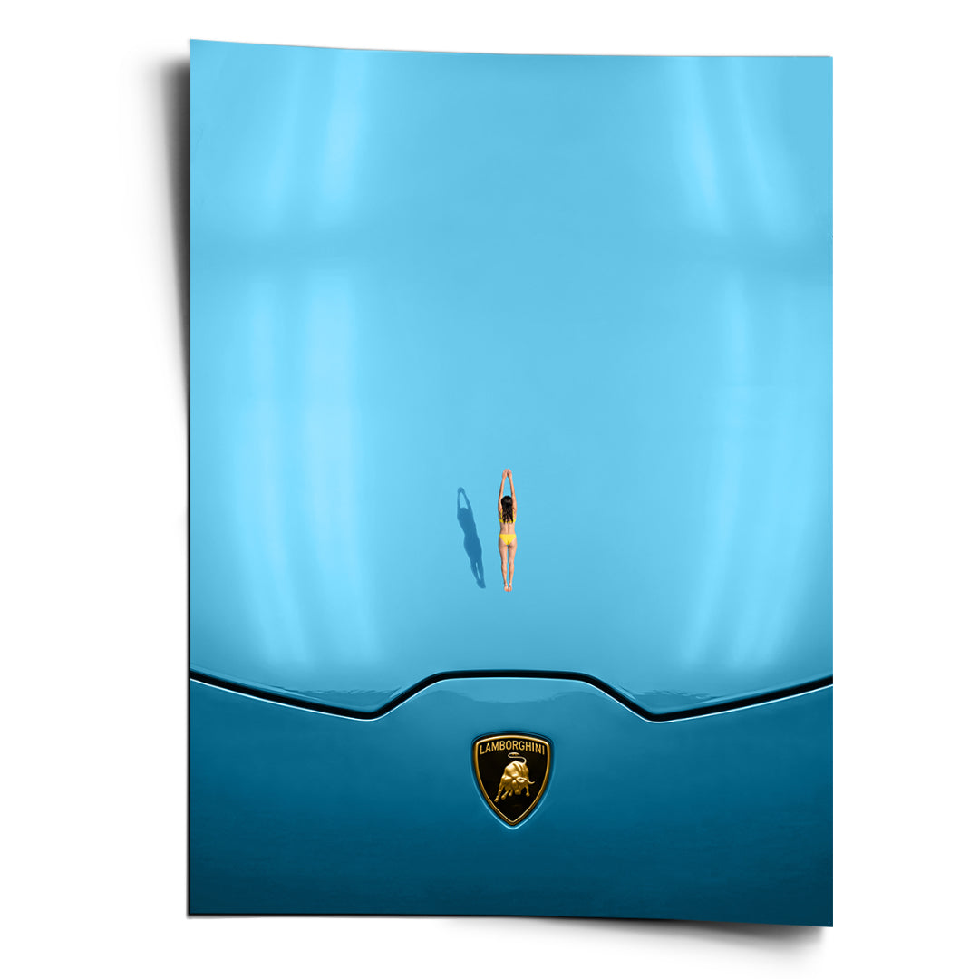 DOTCOMCANVAS Swim on the Hood Poster Vorderansicht