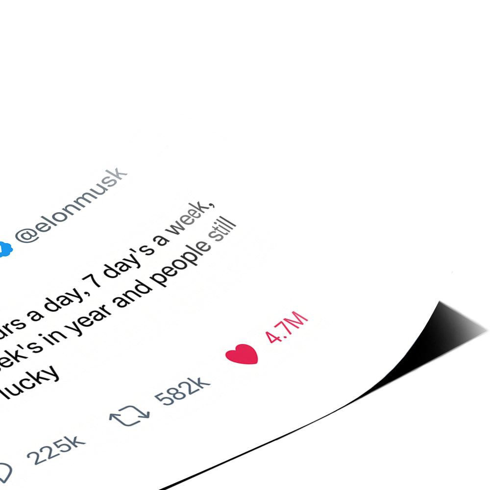 Eckdetail des Posters Twite Elon Musk