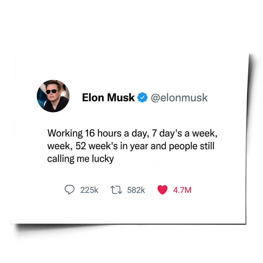 Twite – Elon Musk - Poster – Vorderseite