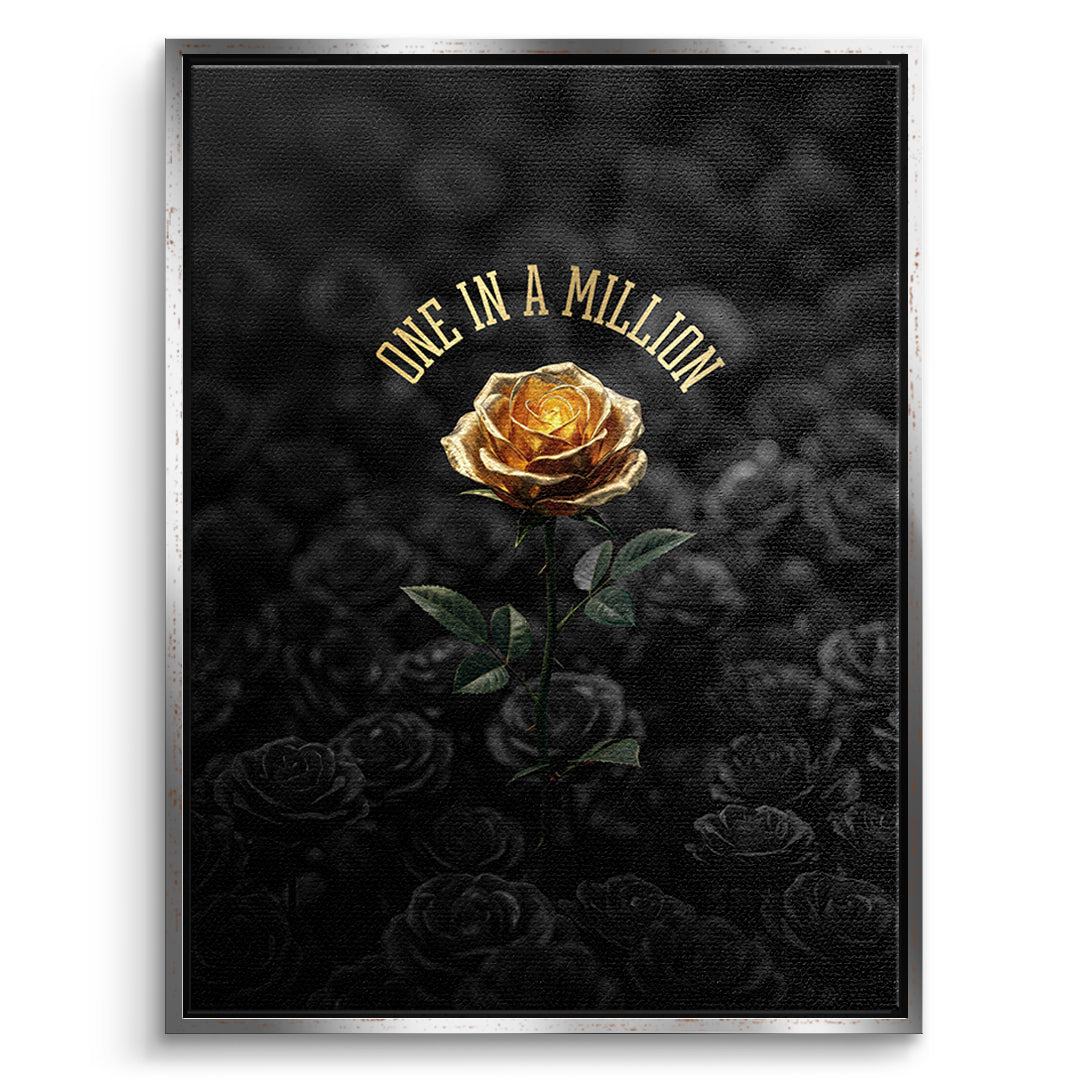 DOTCOMCANVAS Leinwandbild One in a Million im silbernen Premium-Rahmen