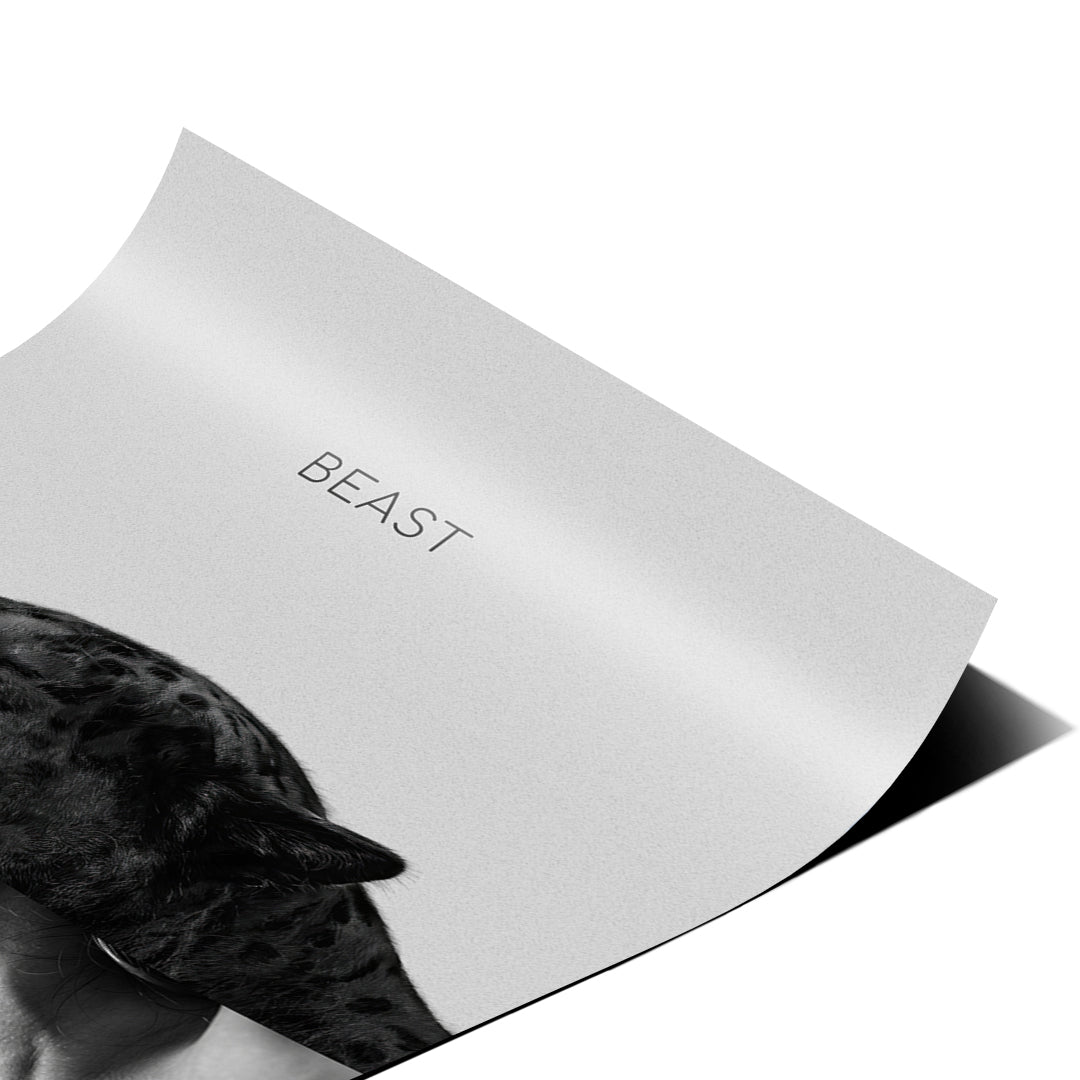 Eckdetail des Posters Beast Grey