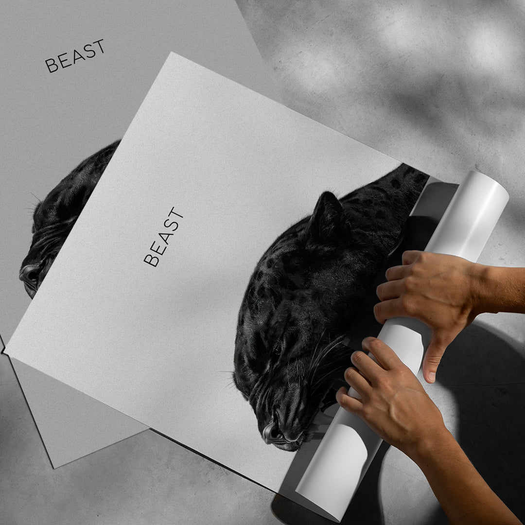 Aufgerolltes Poster Beast Grey