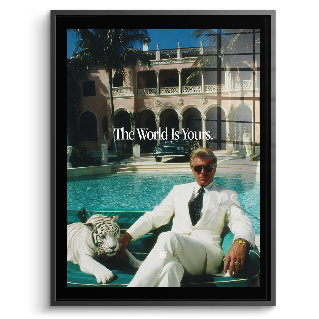 DOTCOMCANVAS Acrylglasbild The World Is Yours Tiger im schwarzen Premium-Rahmen