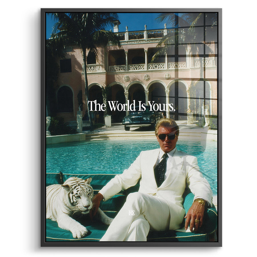 DOTCOMCANVAS Acrylglasbild The World Is Yours Tiger im schwarzen Premium-Rahmen