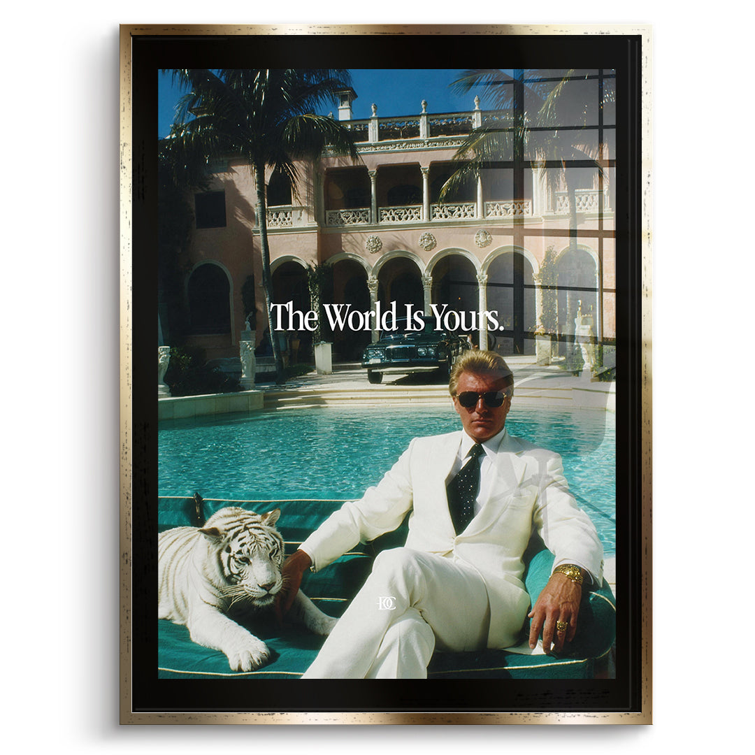 DOTCOMCANVAS Acrylglasbild The World Is Yours Tiger im goldenen Premium-Rahmen