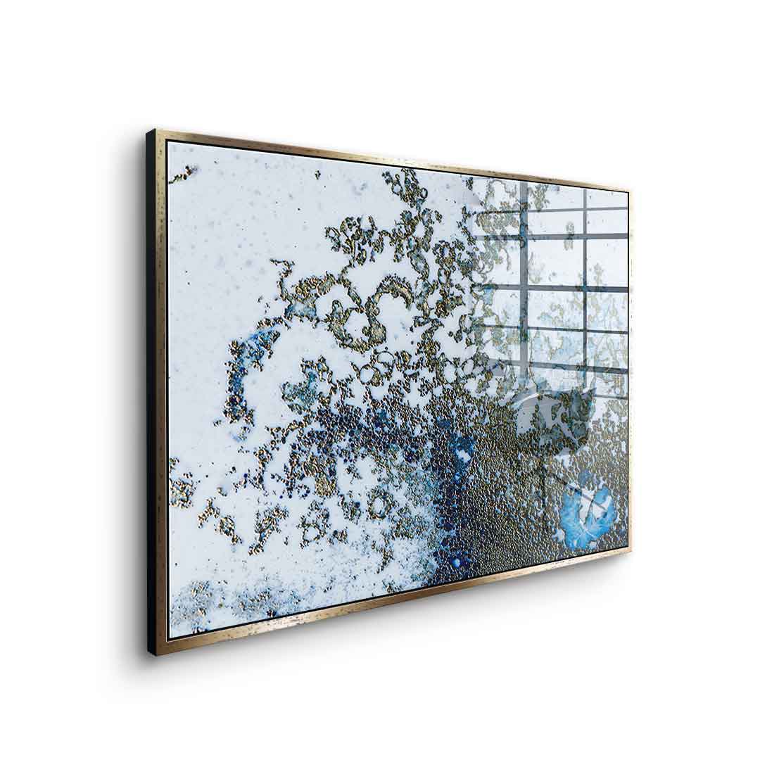 Coral Rising - Acrylic glass