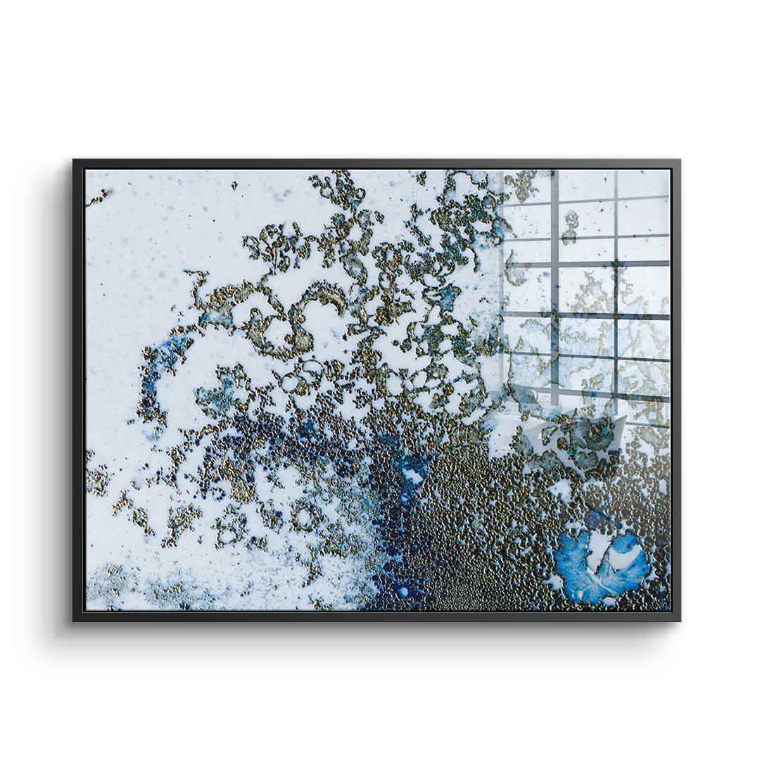 Coral Rising - Acrylic glass