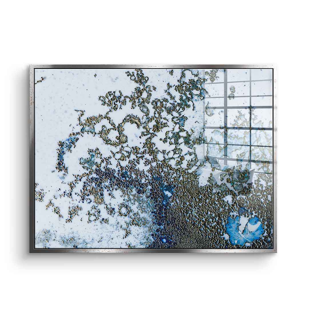Coral Rising - Acrylic glass
