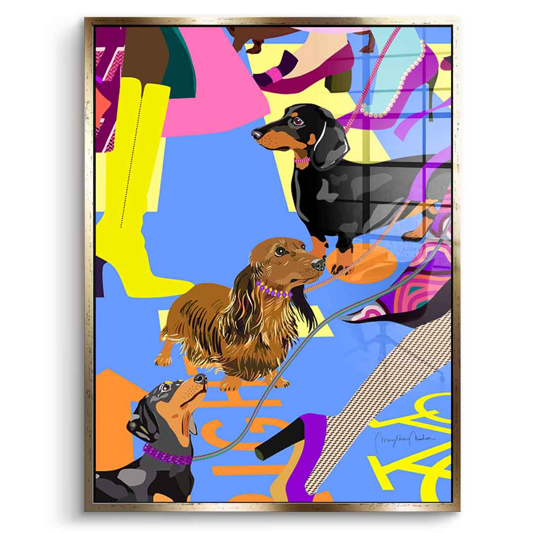 Dachshund Fashion - Acrylglas
