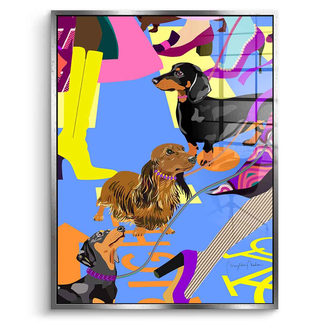 Dachshund Fashion - Acrylglas