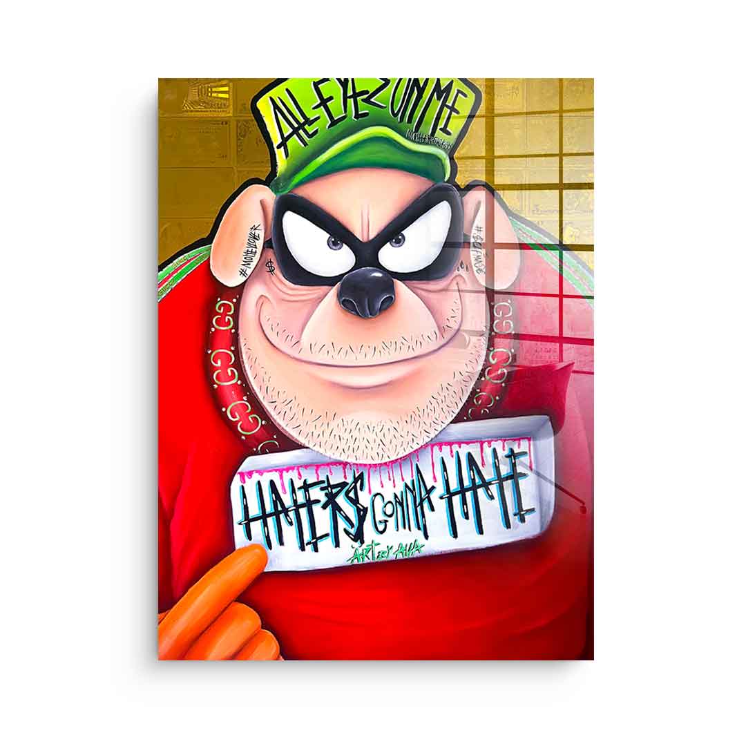 Haters gonna hate - Acrylglas