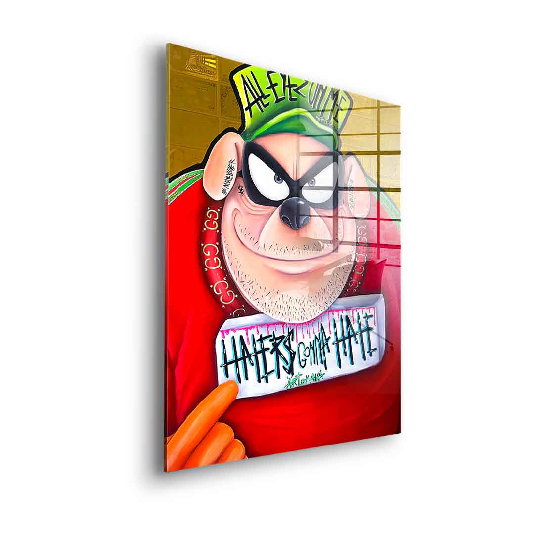 Haters gonna hate - Acrylglas