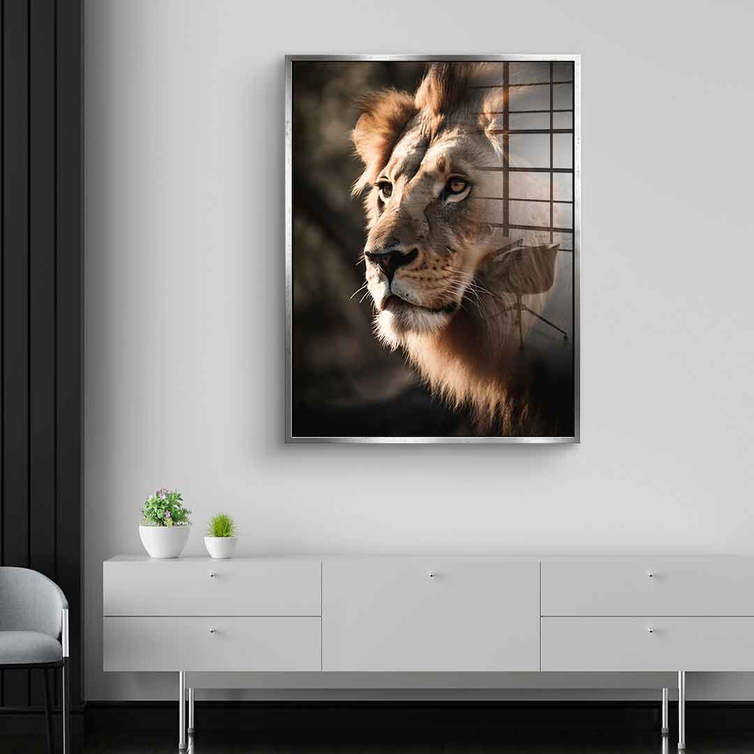 Lion - Acrylic glass