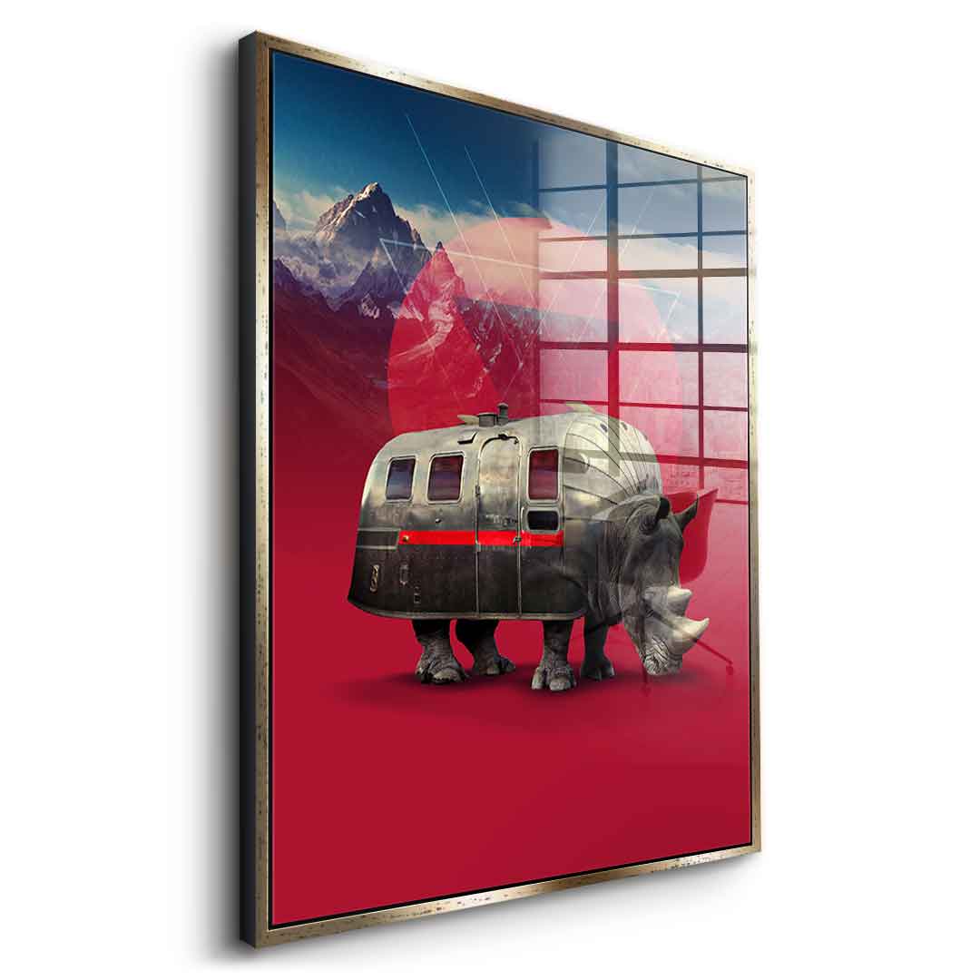Rhino Van – pleksiglas