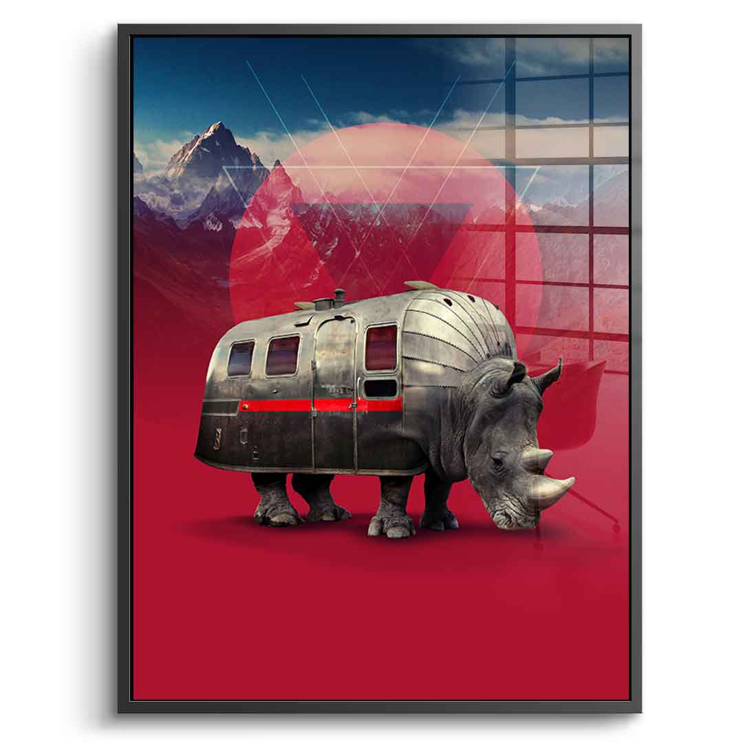 Rhino Van – pleksiglas