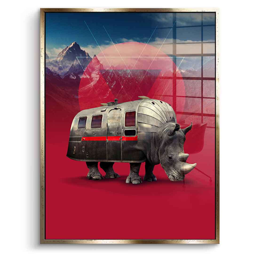 Rhino Van – pleksiglas