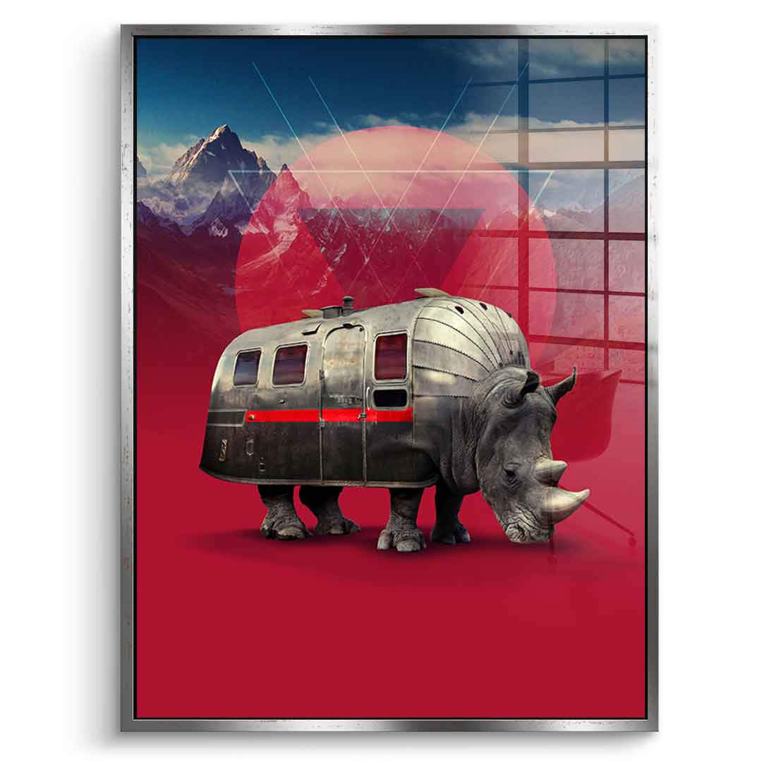 Rhino Van – pleksiglas