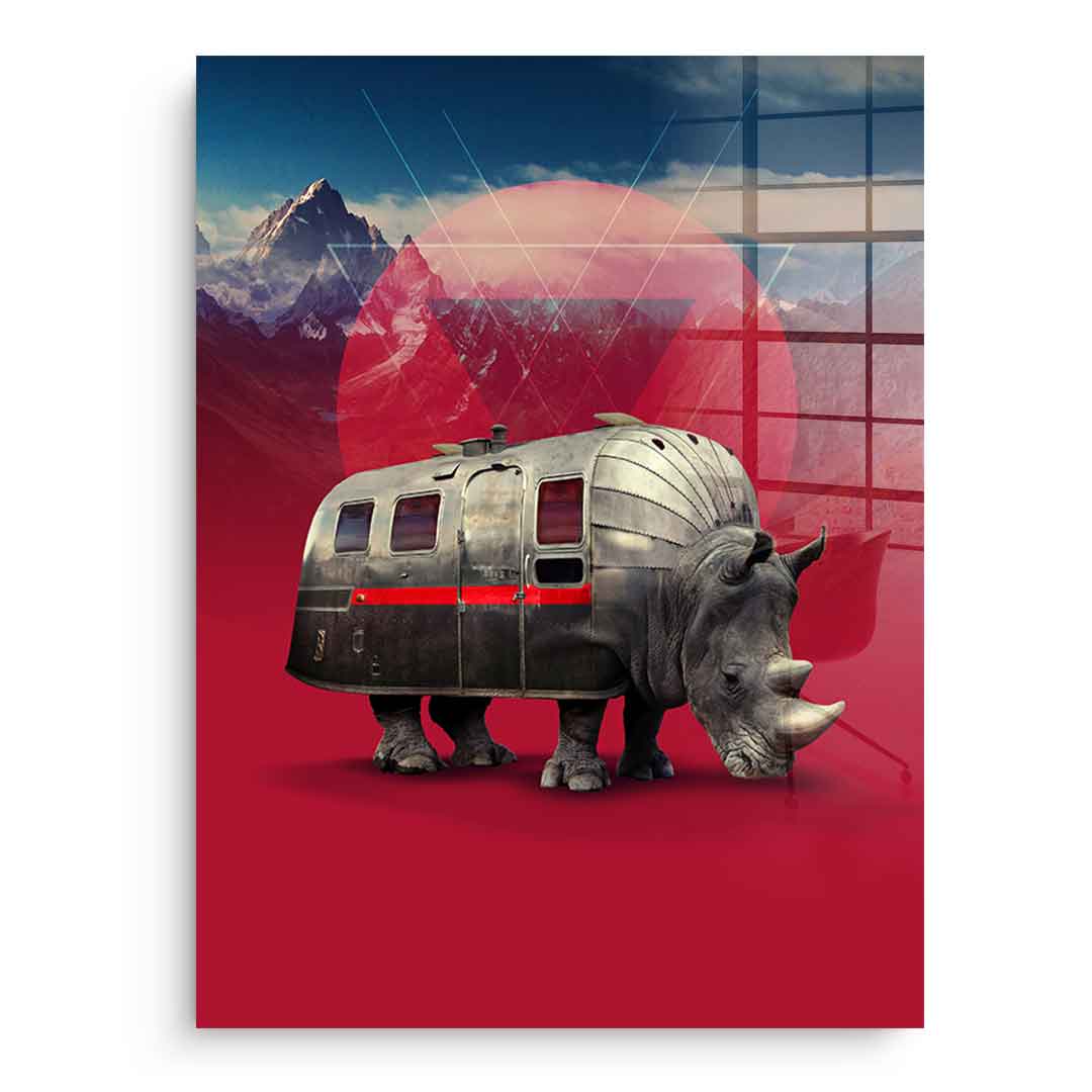 Rhino Van – pleksiglas