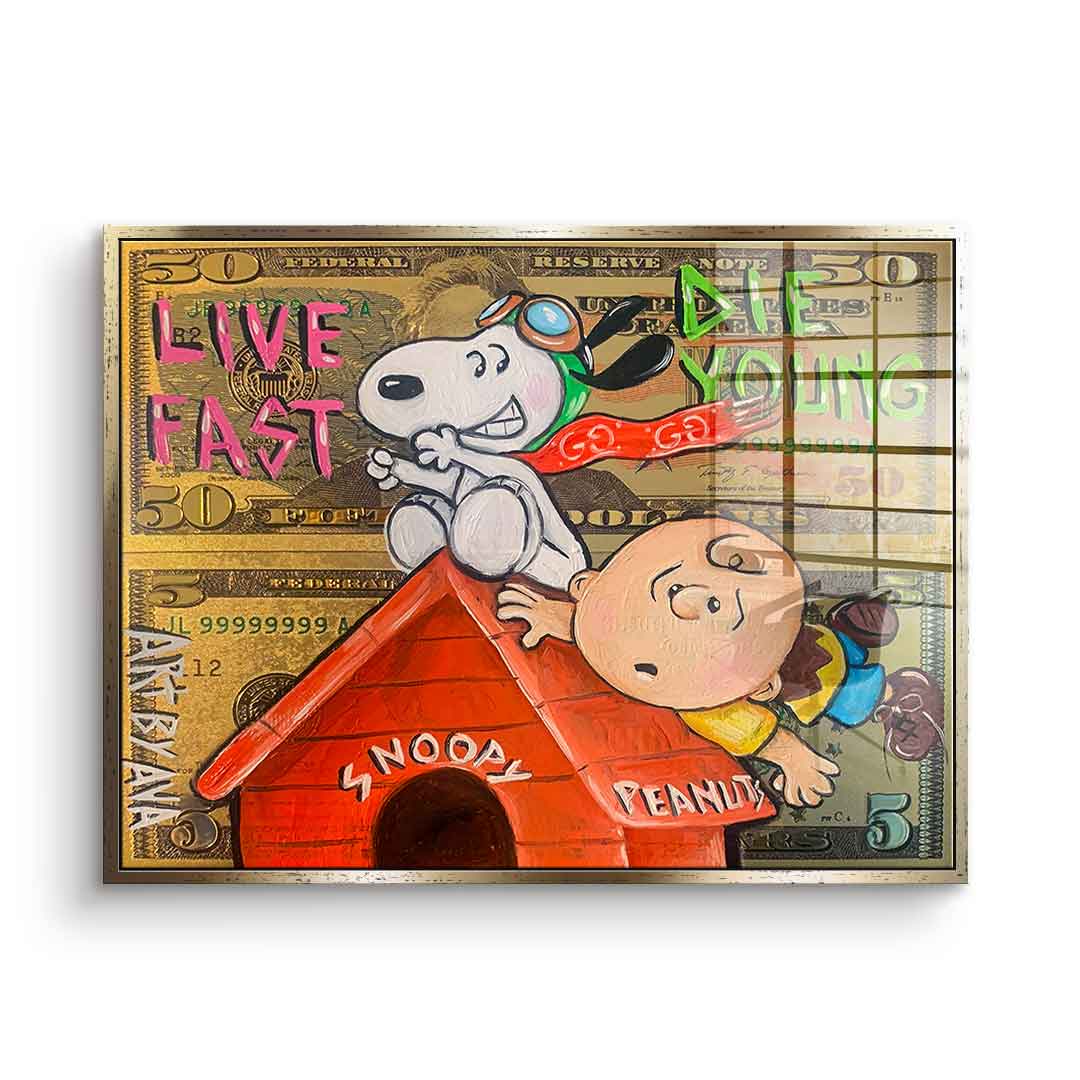 Flying Peanuts - szkło akrylowe