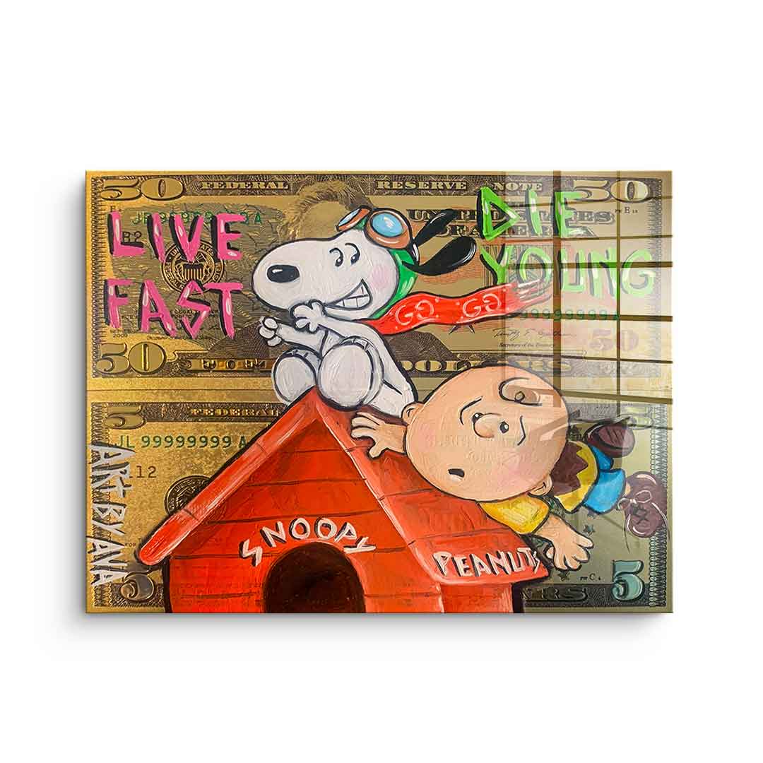 Flying Peanuts - szkło akrylowe
