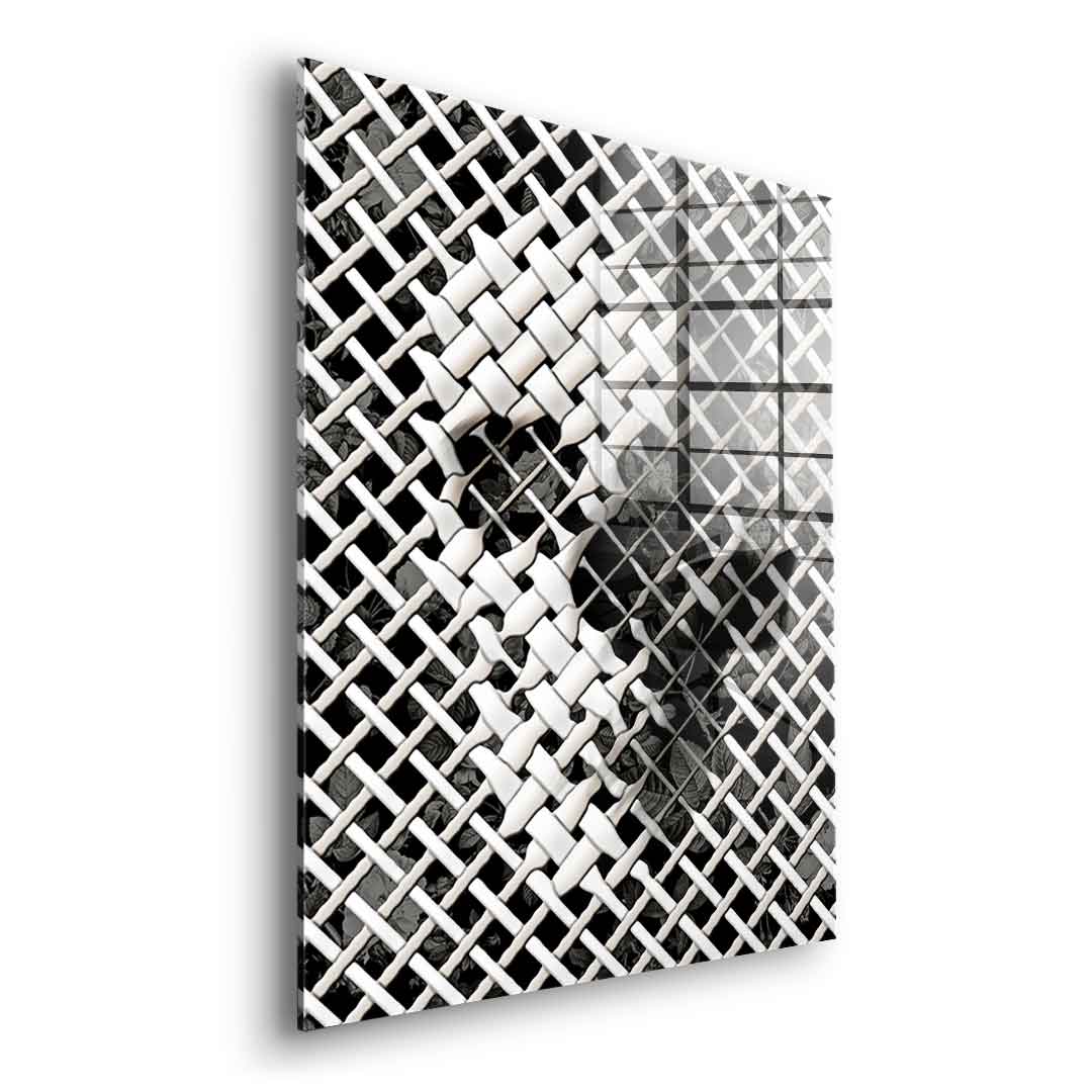 Wicker Skull – akryl