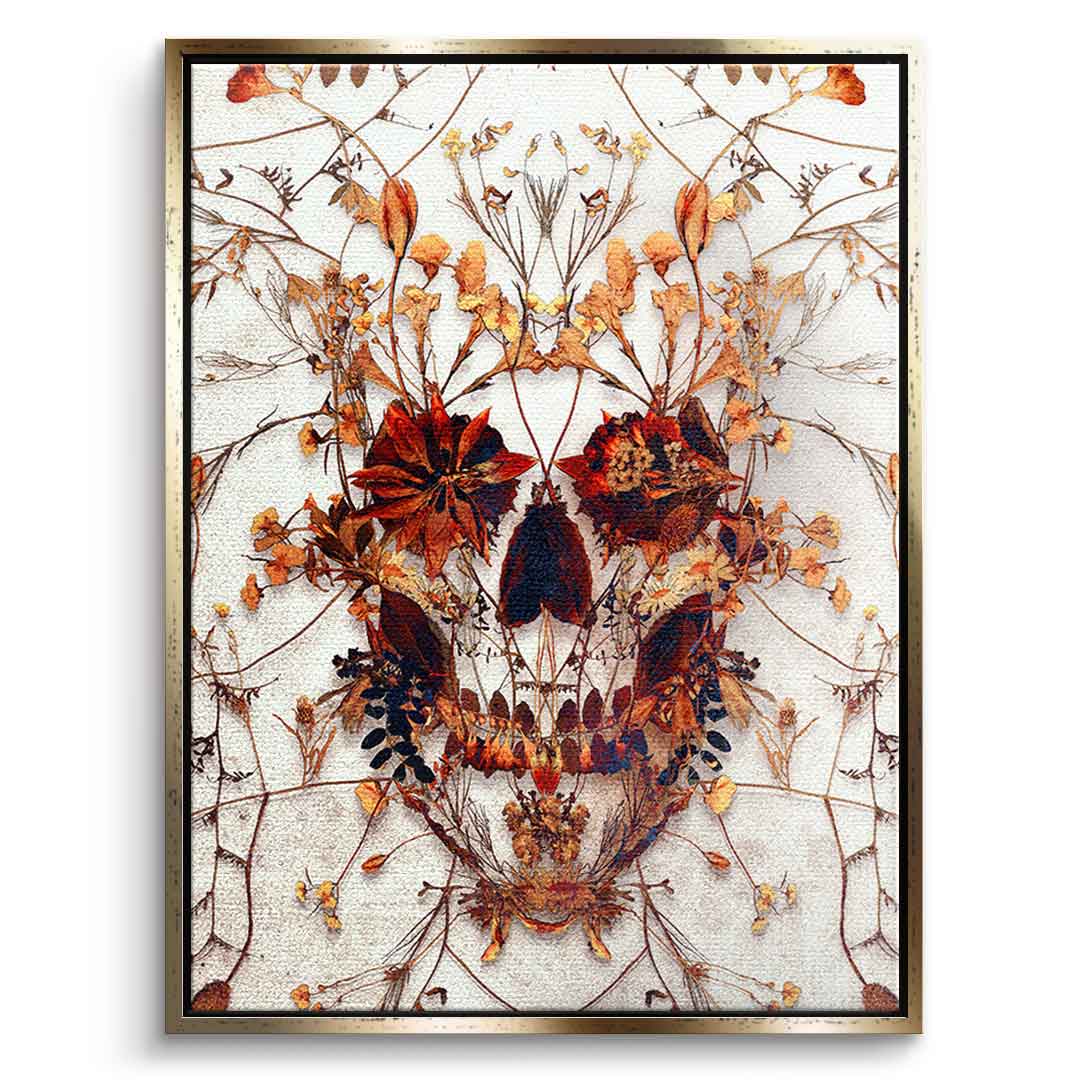 Delicate Skull