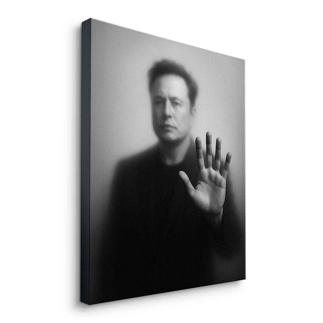 Musk's Silhouette
