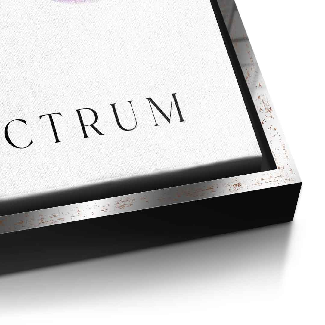 Spectrum 1