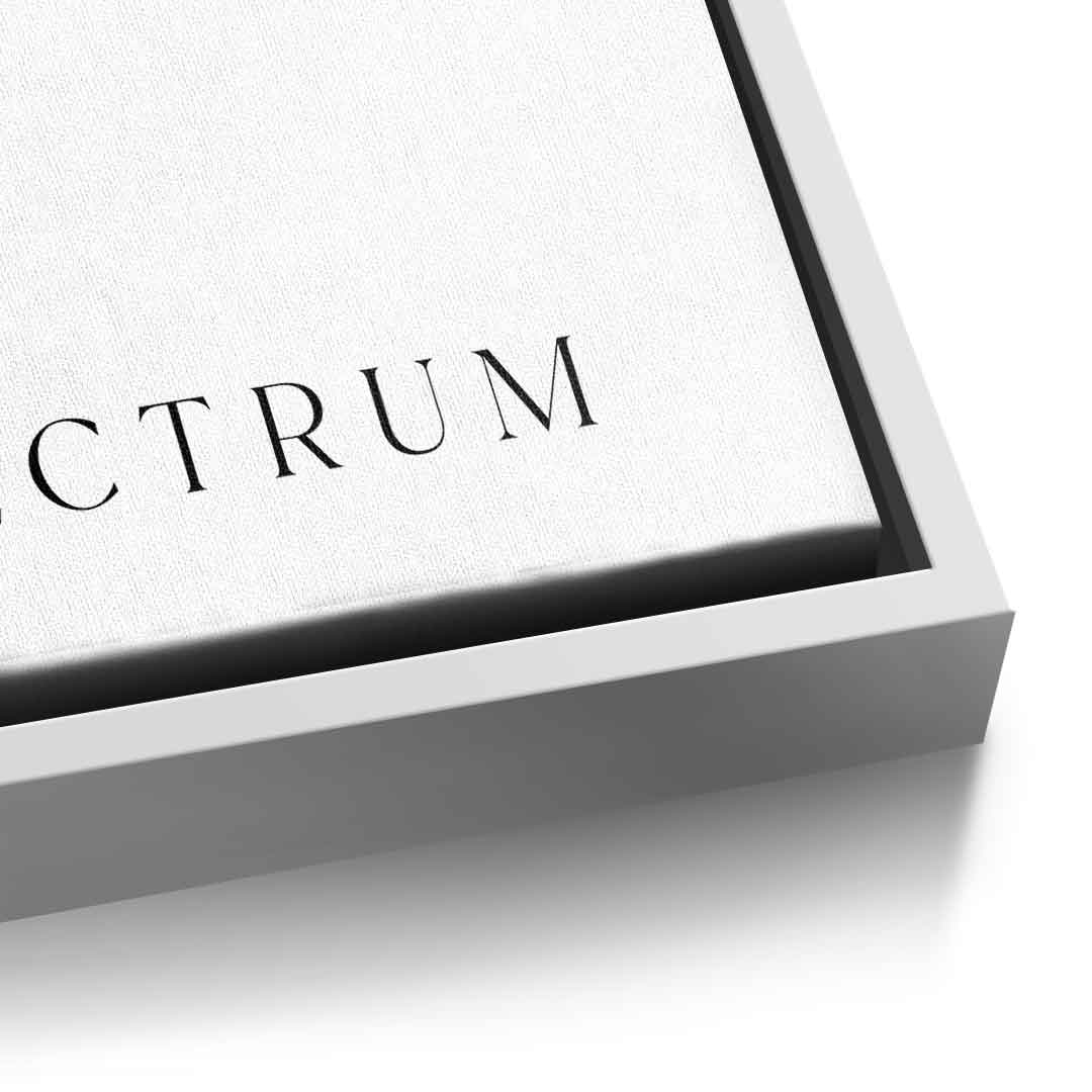 Spectrum 2