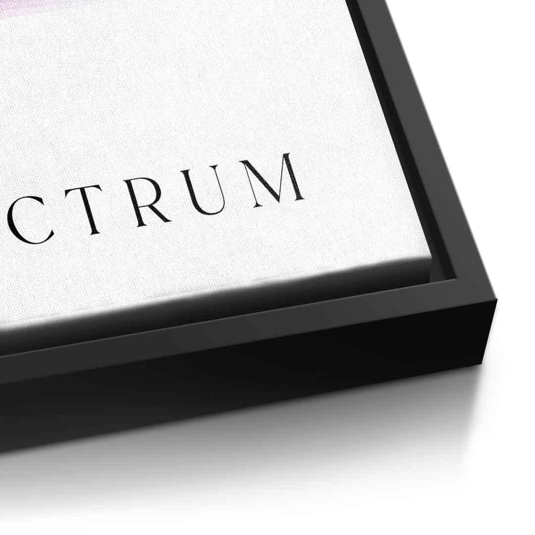 Spectrum 3