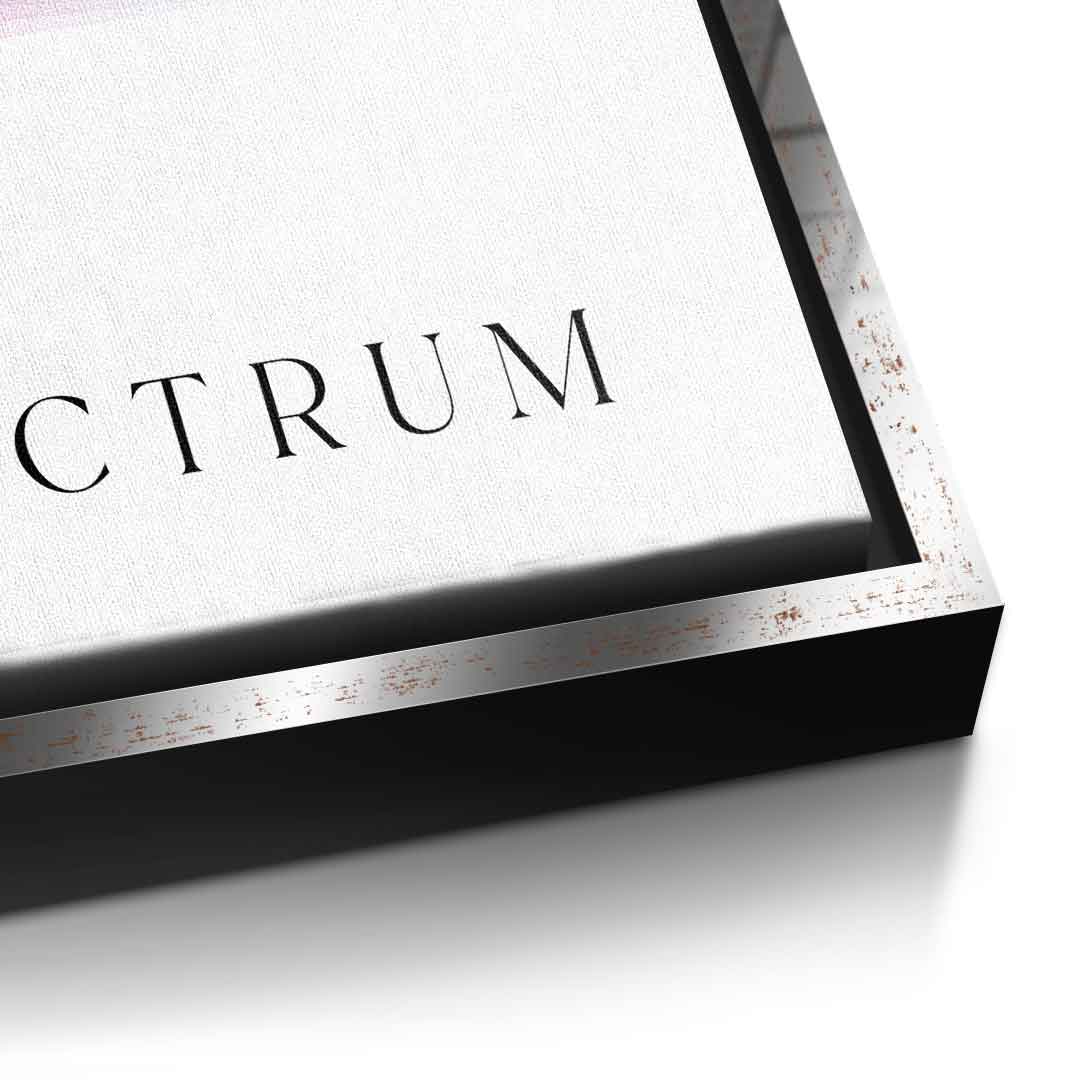 Spectrum 3