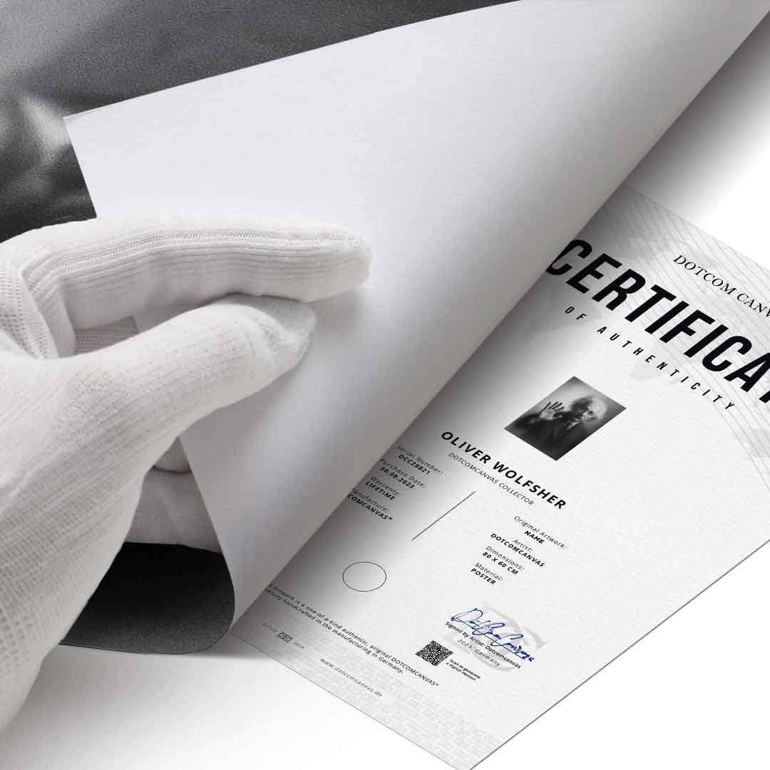 Sylwetka Einsteina – plakat