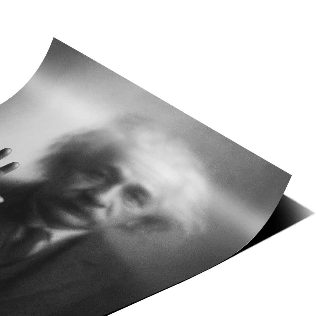 Sylwetka Einsteina – plakat