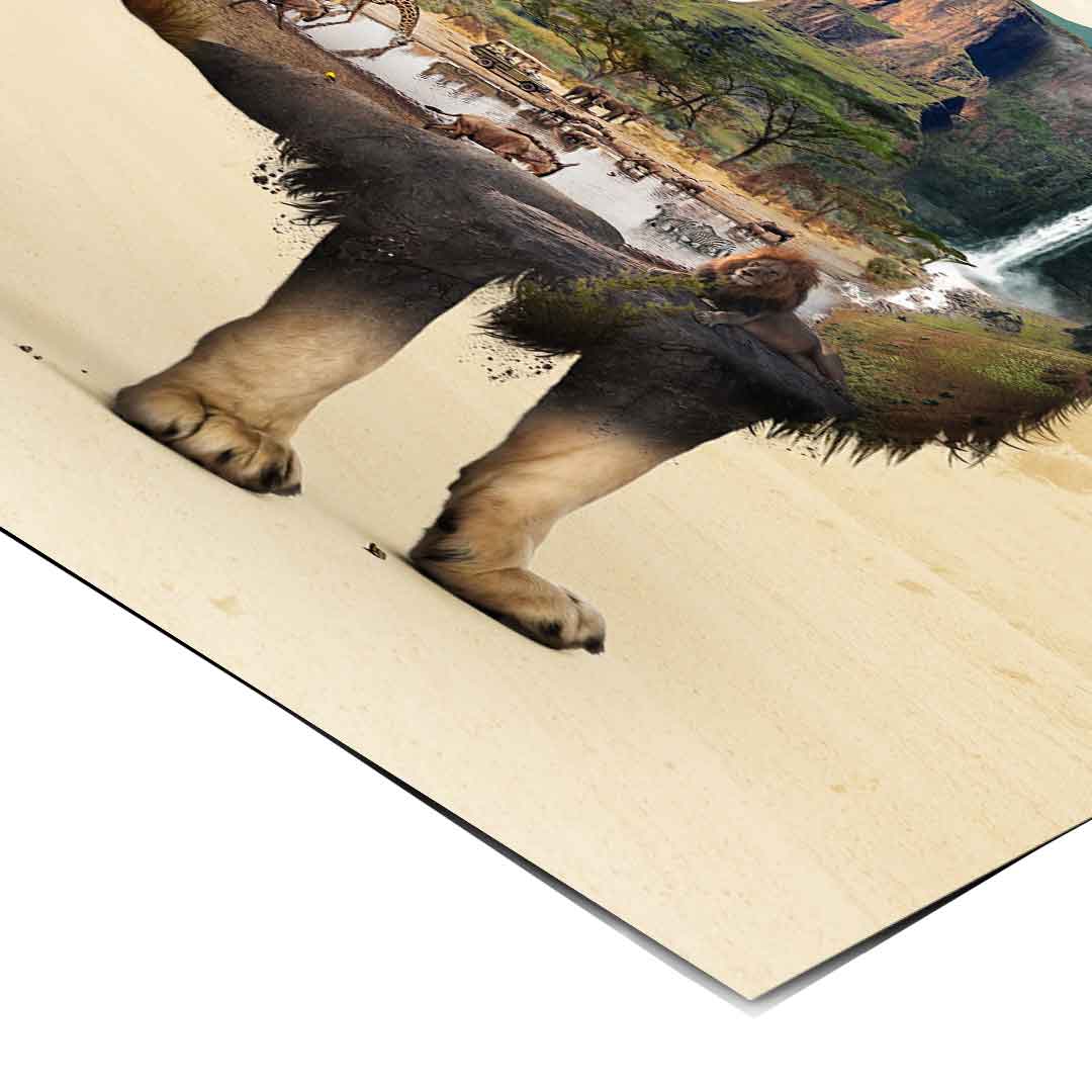 The Lion's Life - Poster