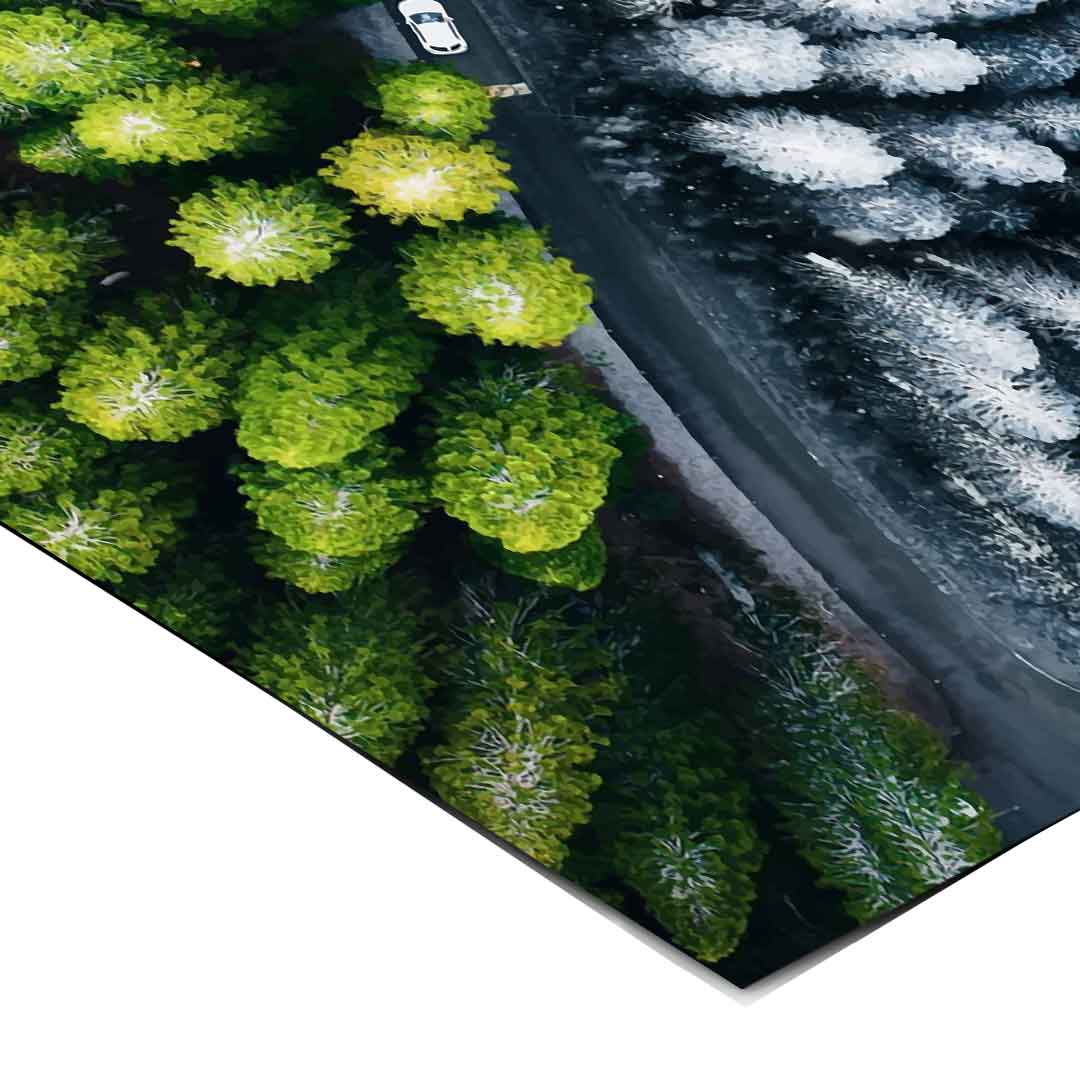 Kontrast - Plakat