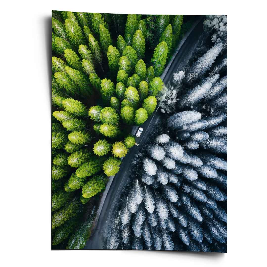 Kontrast - Plakat