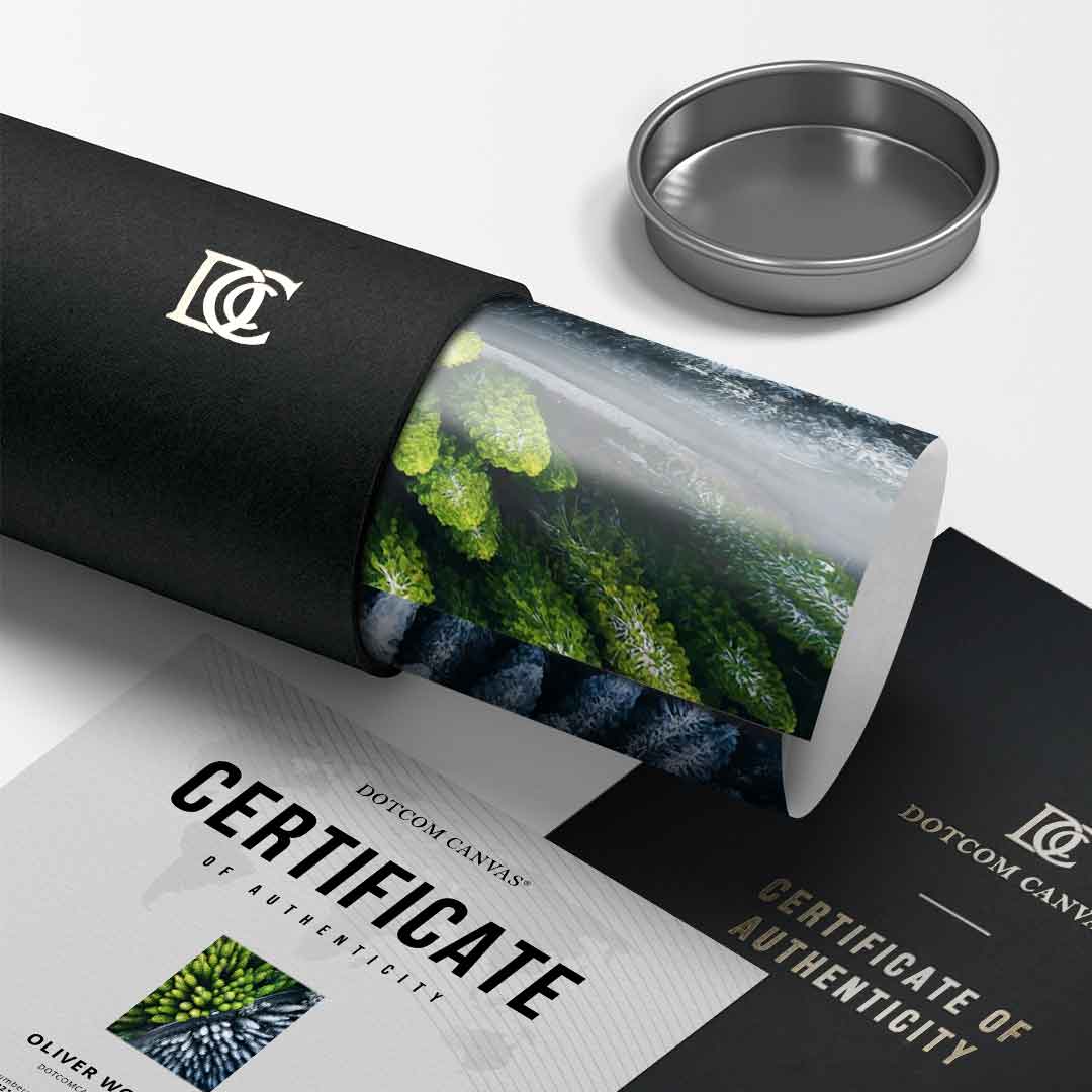 Kontrast - Plakat