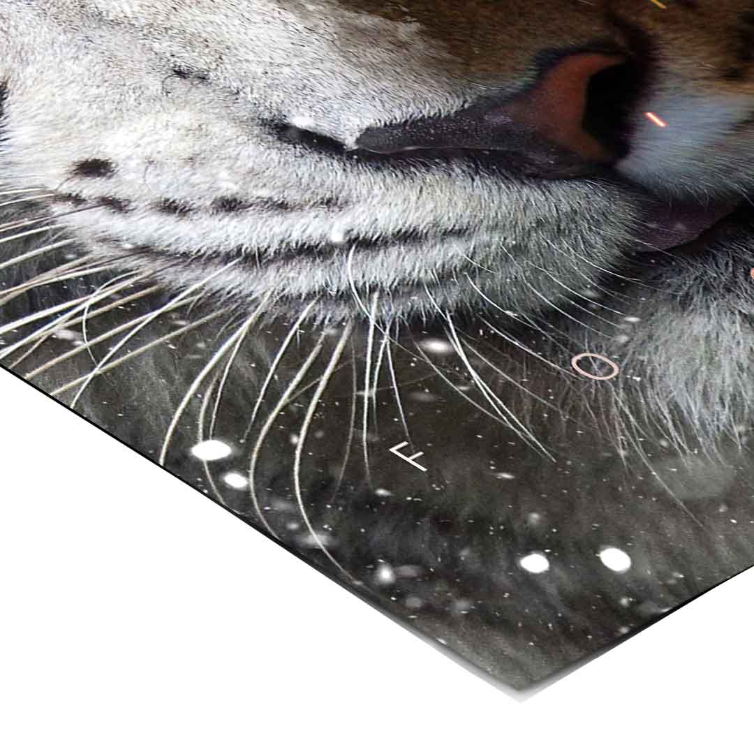 Focus Face - Poster