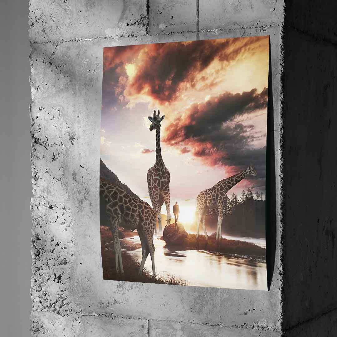 Życie żyrafy - Plakat