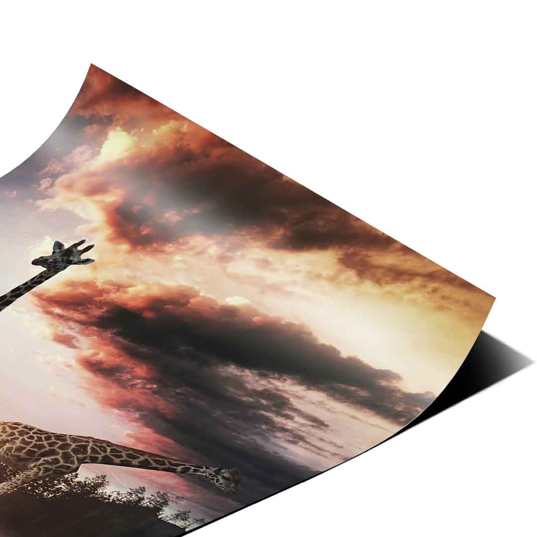 Życie żyrafy - Plakat