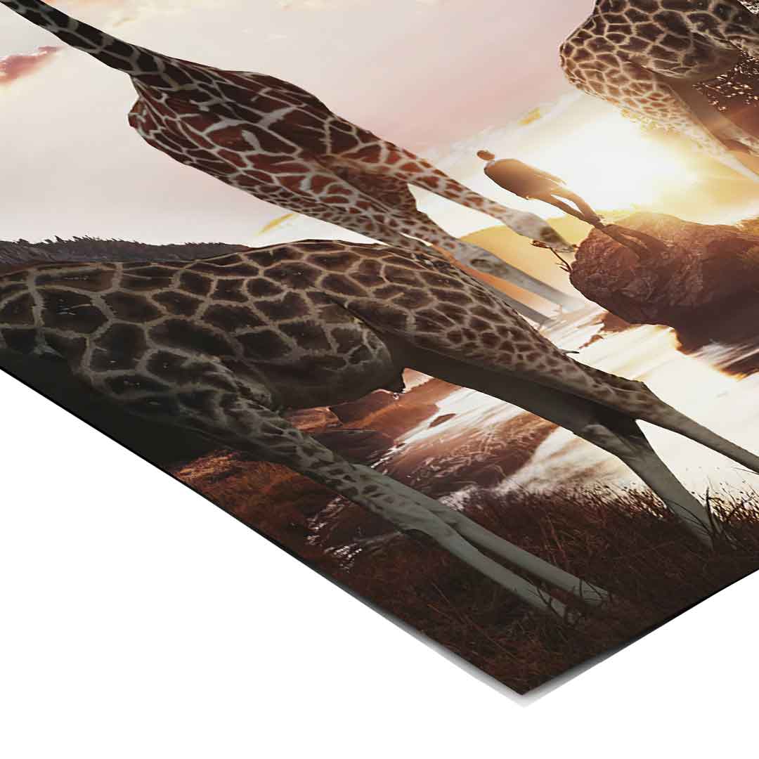 Życie żyrafy - Plakat