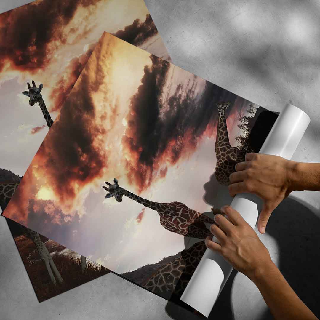 Życie żyrafy - Plakat