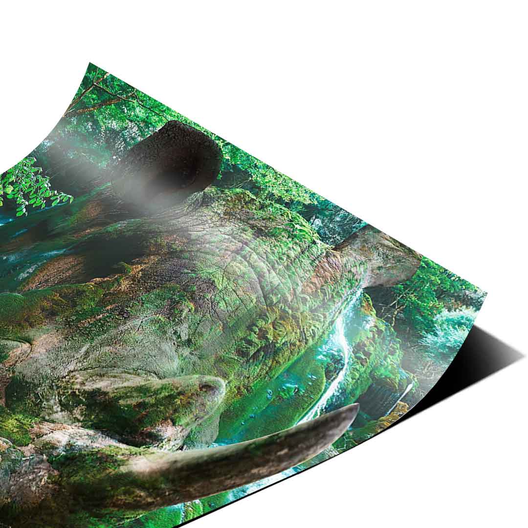 Rhino Nature - Poster