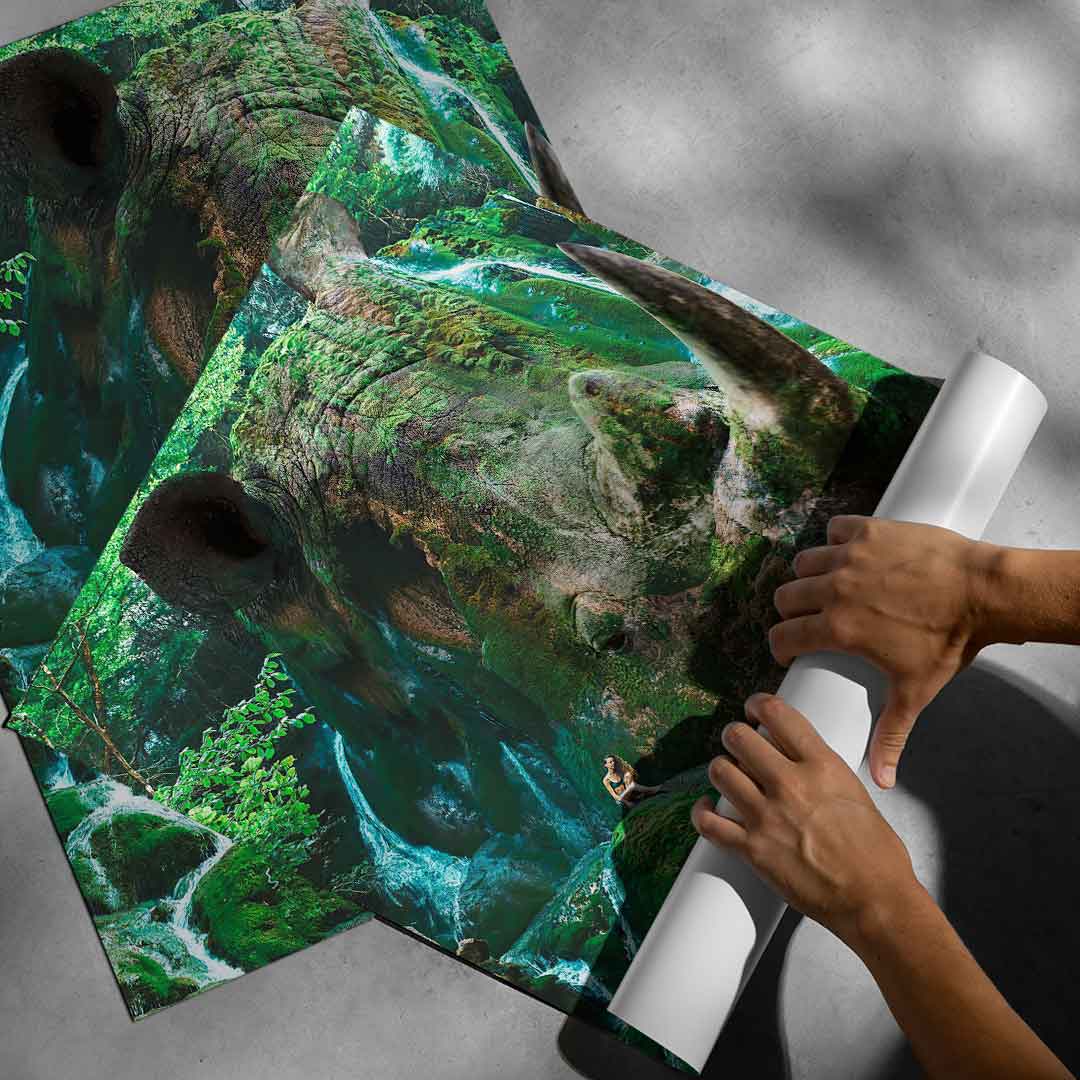 Rhino Nature - Poster