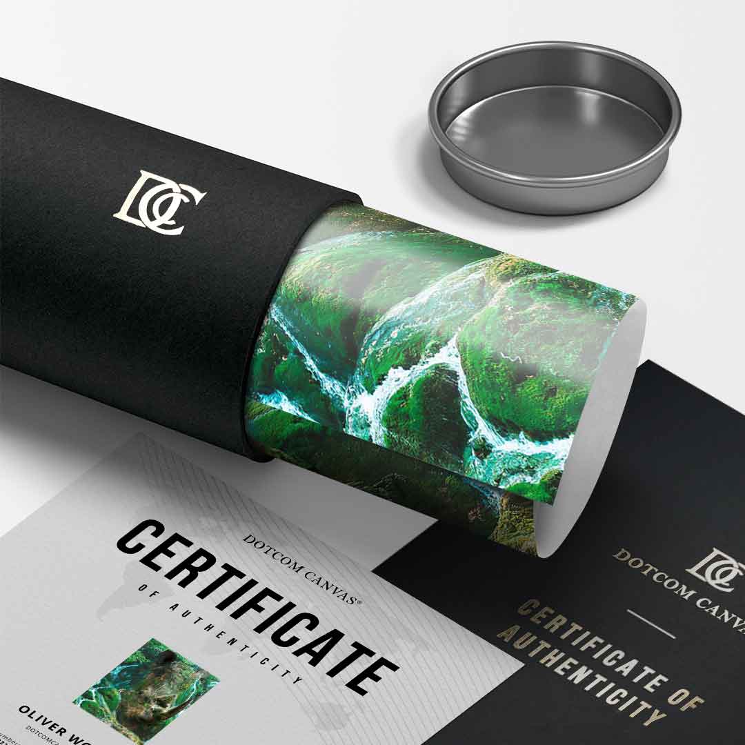 Rhino Nature - Poster
