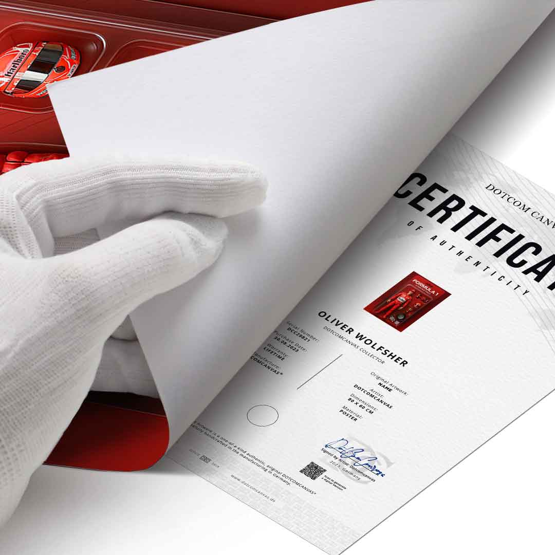 Starter Pack FORMULA 1 - Poster