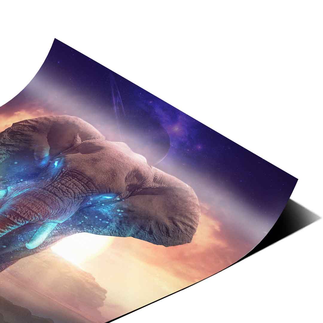 Prawdziwy król – plakat