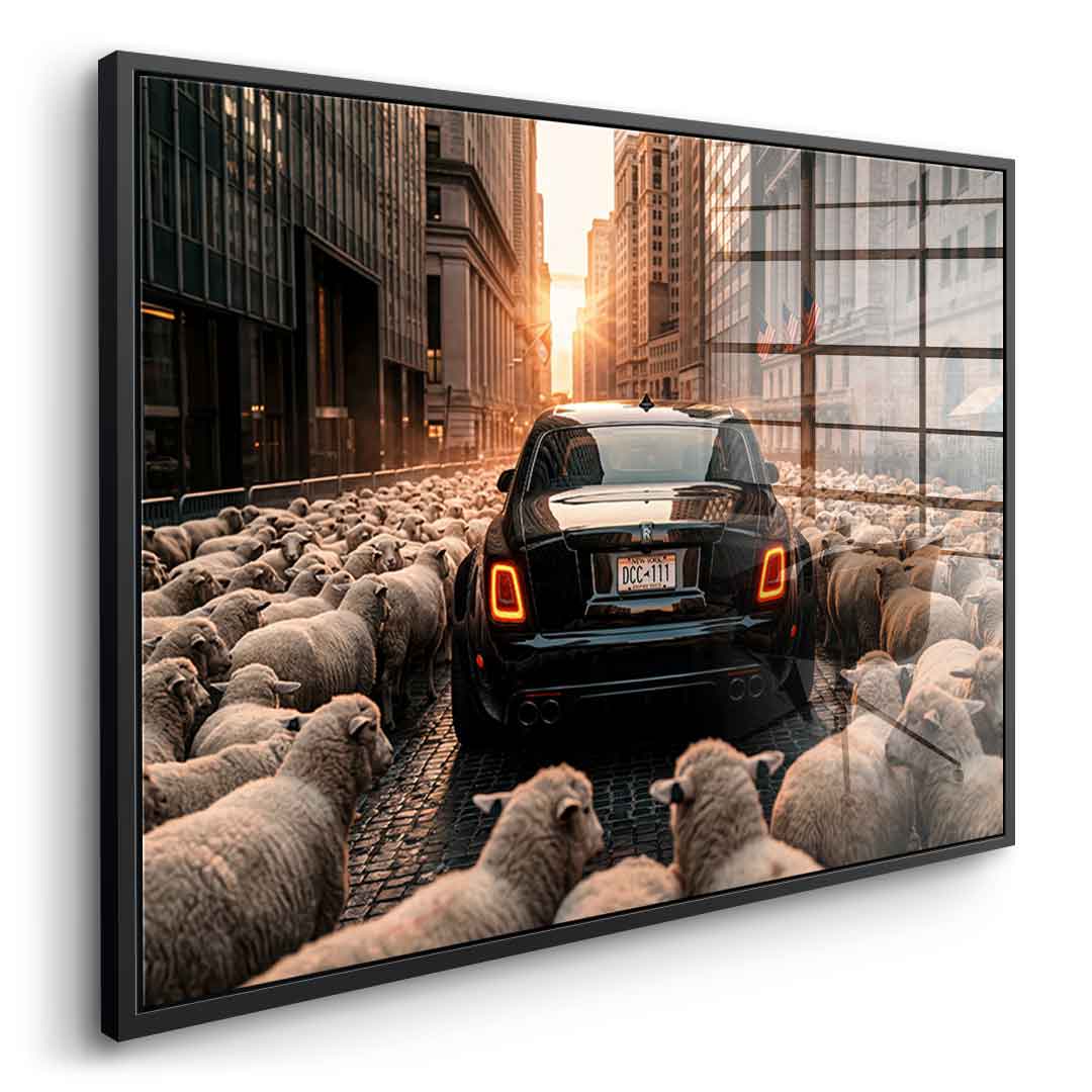 DOTCOMCANVAS Rolls Roys & Sheeps Acrylglasbild Seitenansicht schwarzer Rahmen